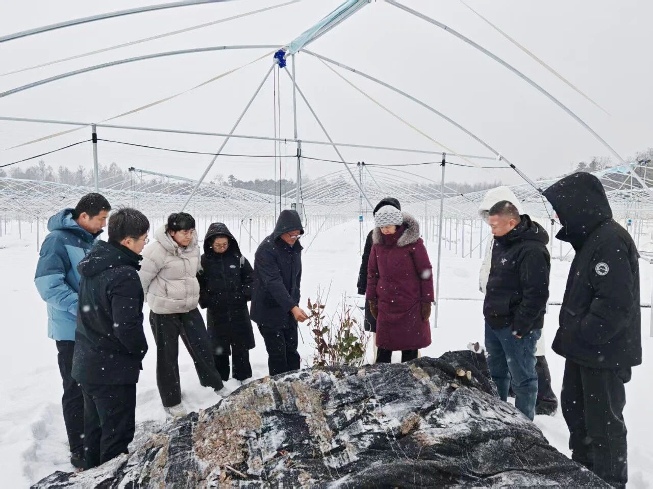 1766018764329092.jpg 微信圖片_2025-12-18_084414_517.jpg