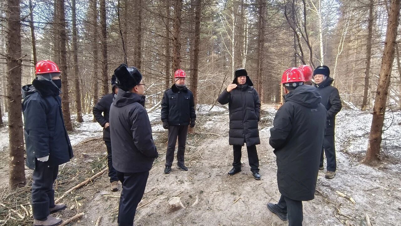 1770623296200315.jpg 微信圖片_2026-02-09_154752_419.jpg